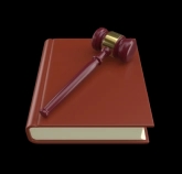 The lawyer will provide <br> court representation